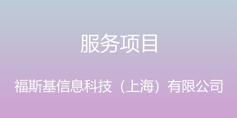 服务项目 - 福斯基信息科技（上海）有限公司